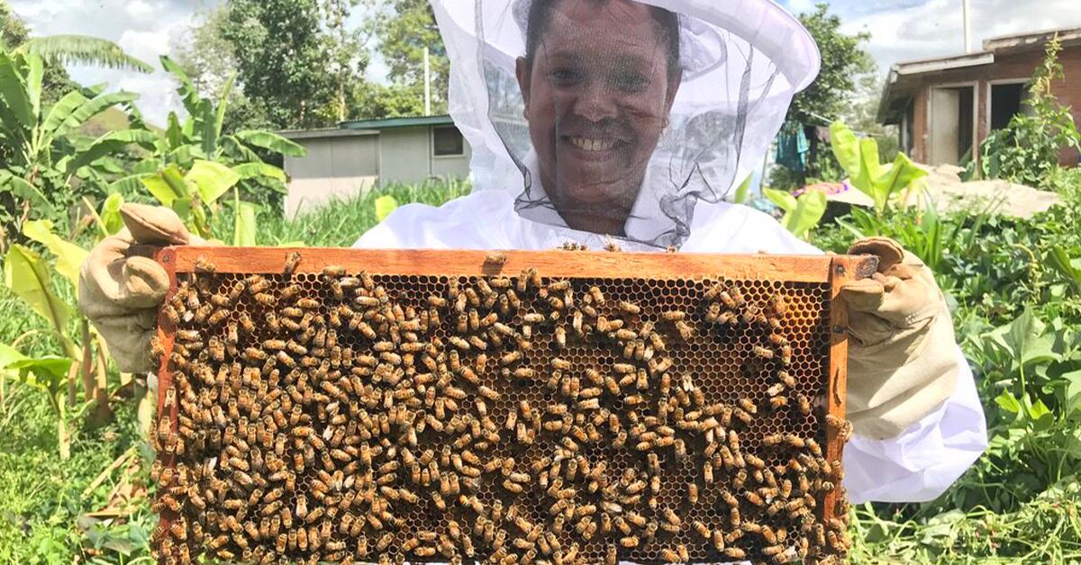 Bee Farming Financing